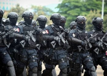 Pemerintah Didesak Kirim Pasukan Tempur ke Palestina