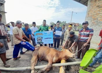 Dewan Dakwah Buka Pelayanan Qurban ke Pedalaman Daerah