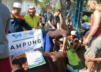 Laznas Dewan Dakwah Lampung Dorong Kesadaran Berqurban Ke Pelosok Desa dan Pulau Terpencil