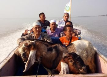 Dewan Dakwah Lampung Sebar Ratusan Hewan Qurban dan Khotib Idul Adha Se-Lampung