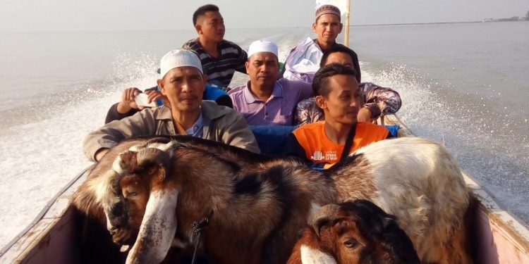 Dewan Dakwah Lampung Sebar Ratusan Hewan Qurban dan Khotib Idul Adha Se-Lampung