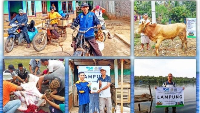 Laznas Dewan Dakwah Lampung Sukses Bagikan Daging Qurban Lebih Dari 9000 jiwa