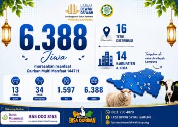 Qurban Multi Manfaat 1447 H, Laznas Dewan Dakwah Lampung Salurkan Manfaat kepada 6.388 Jiwa di 14 Kabupaten/Kota