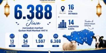 Qurban Multi Manfaat 1447 H, Laznas Dewan Dakwah Lampung Salurkan Manfaat kepada 6.388 Jiwa di 14 Kabupaten/Kota